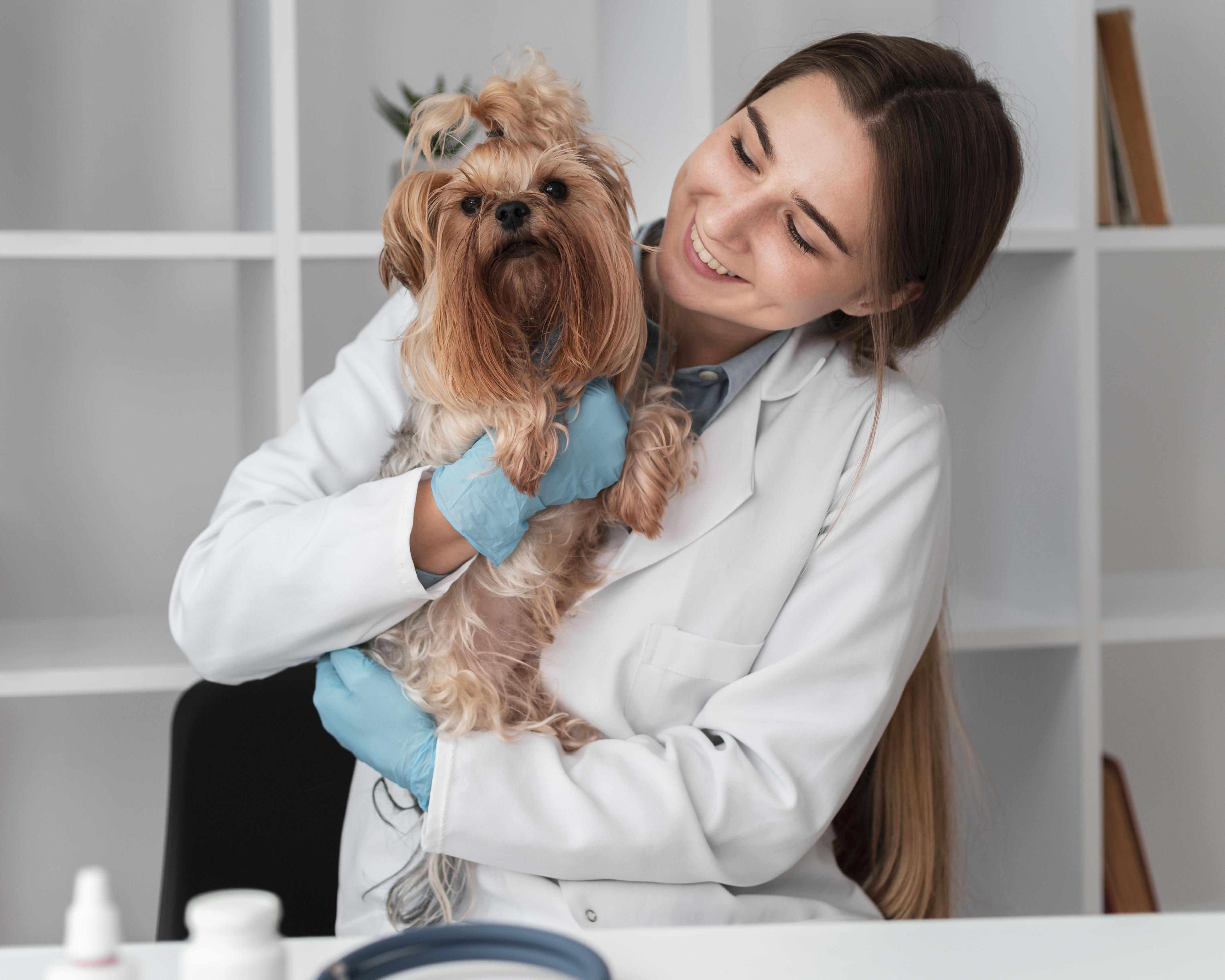 What Is a Pet Wellness Plan?